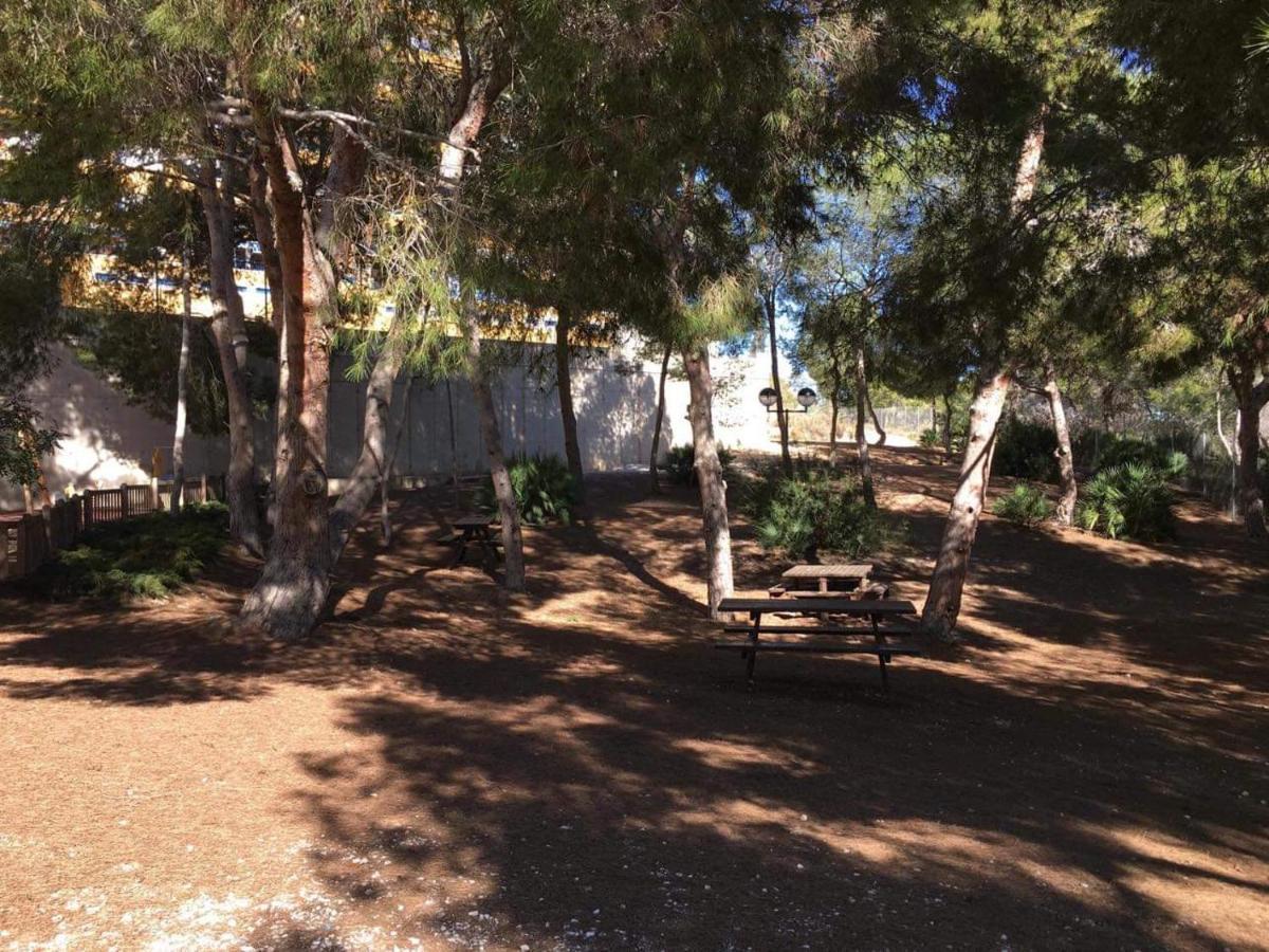 Perla Apartamento Apartment Orihuela Luaran gambar